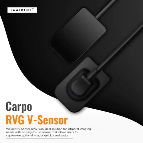 Waldent Carpo RVG V-Sensor Size - Vitalticks